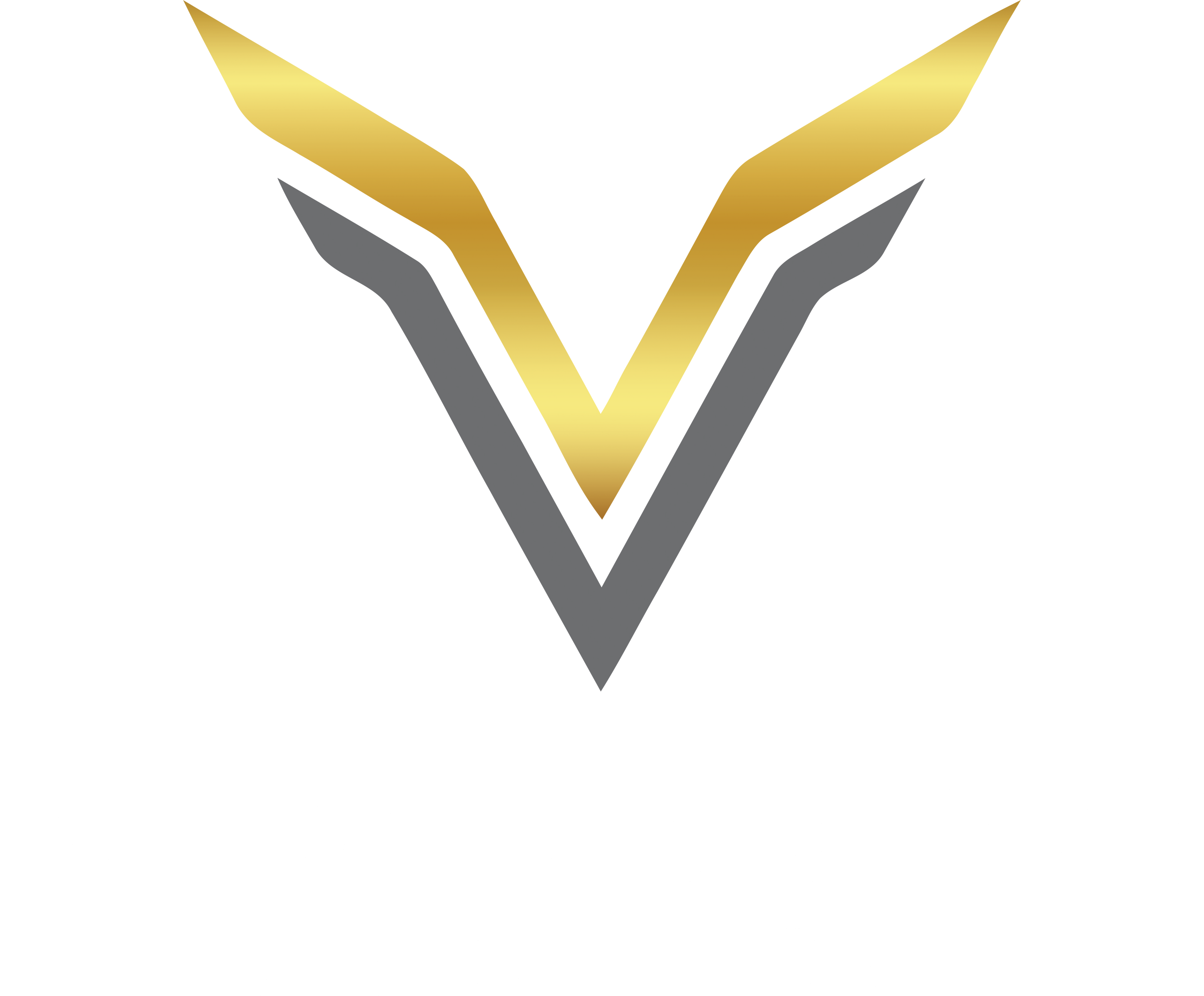 Volition Ride Company